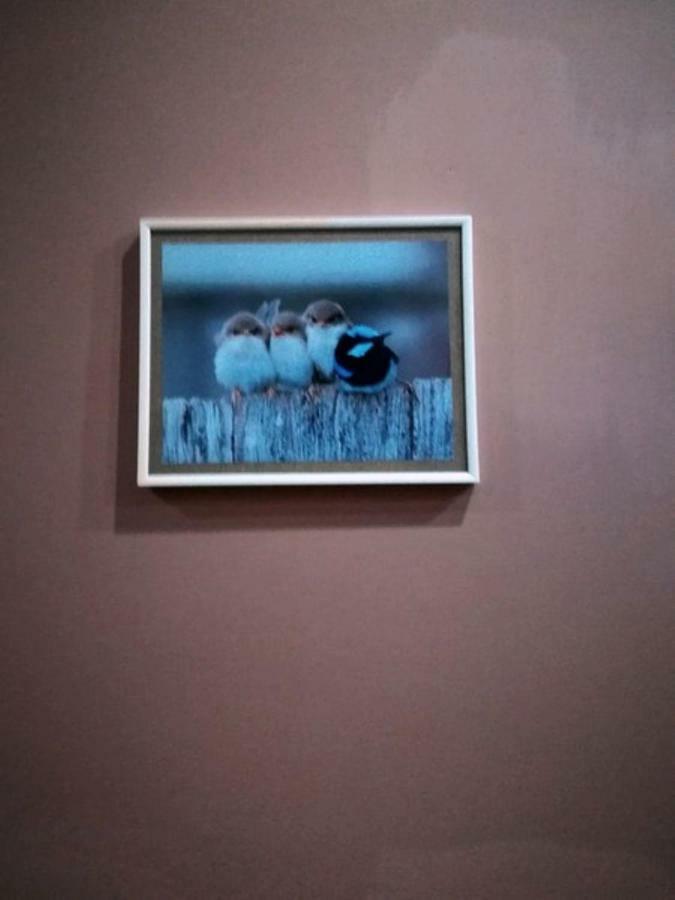 Birdhome In Τυφλίδα Εξωτερικό φωτογραφία